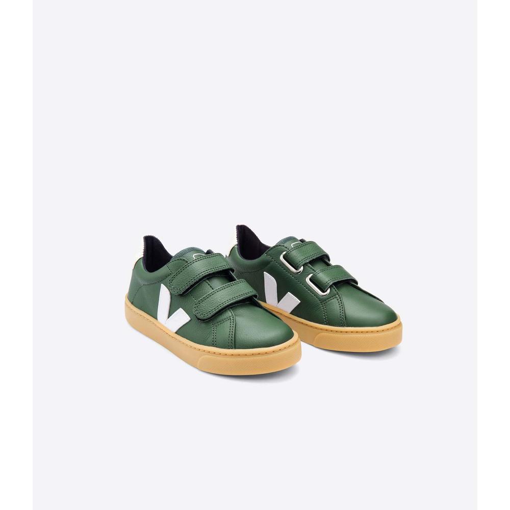 Veja ESPLAR LEATHER Kids' Sneakers Olive | CA 828JPQ